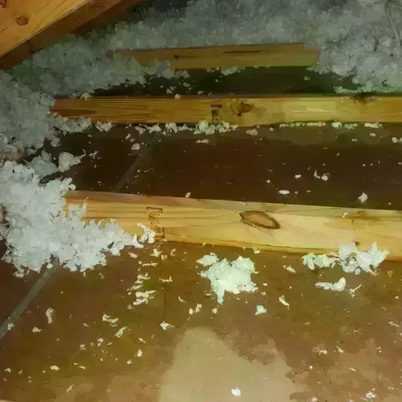 Attic Water Damage in El Dorado Hills, CA